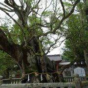 日本を代表する神社