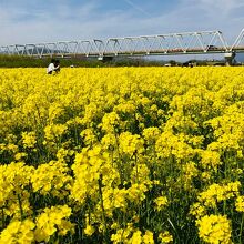 千曲川ふれあい公園