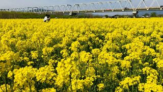 千曲川ふれあい公園