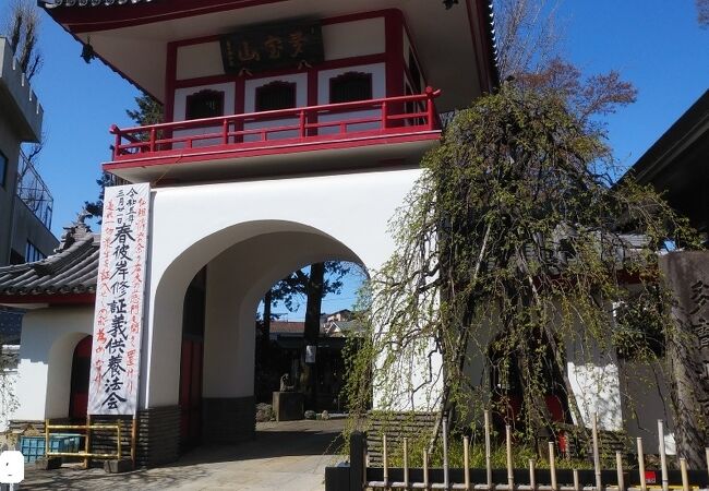 成願寺 (中野区)