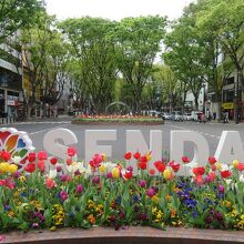 チューリップなどの花が彩りを添えていました