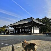 国宝の仏像が