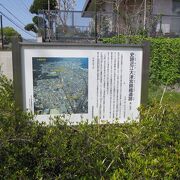 大津宮跡と確実視されている遺跡です。