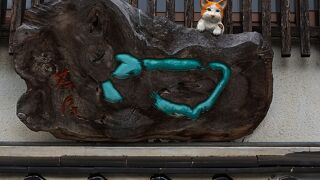  隠れた木彫猫を探しながら散策が楽しめる：瑞泉寺門前町の町並み(八日町通り) 