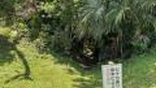 百之台地から阿伝集落への抜け道