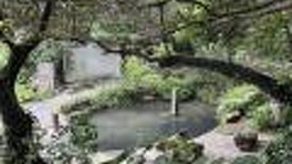 源頼朝の叔父が見つけた神秘の泉