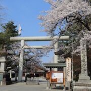 実は隠れた桜の名所