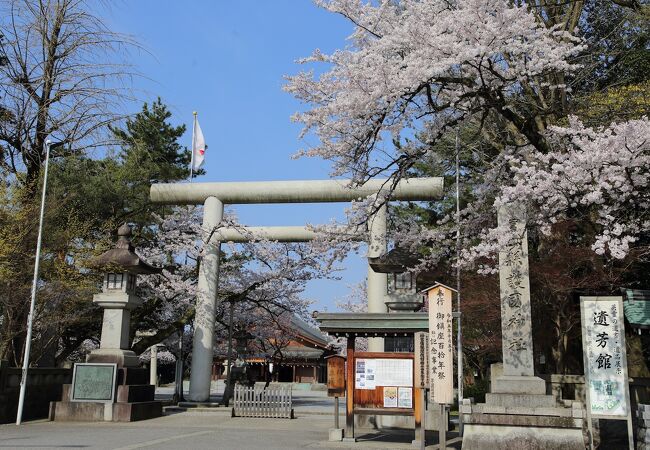 実は隠れた桜の名所