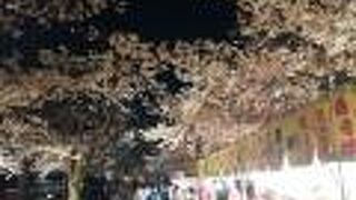 夜桜が美しかった…