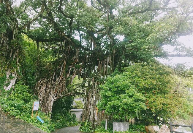 ついでに行く感じで