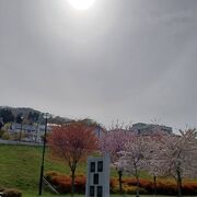 記念碑近くに桜が綺麗咲いてました。