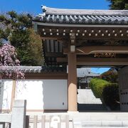 立派な山門を有する寺院