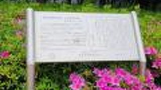 いつ咲くのかな？