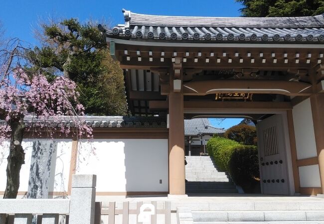 立派な山門を有する寺院