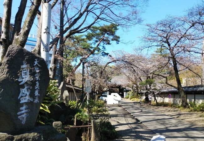 春は桜の名所にもなりそうな寺院