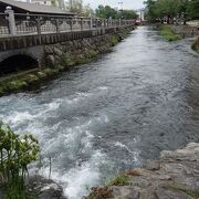 湧水の川。水量がすごい。水がきれい。