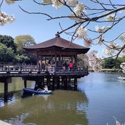 鷺池に浮かぶ六角形の浮見堂を見て廻りました!!