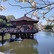 鷺池に浮かぶ浮見堂　周辺の桜がより良い景観を醸し出しています