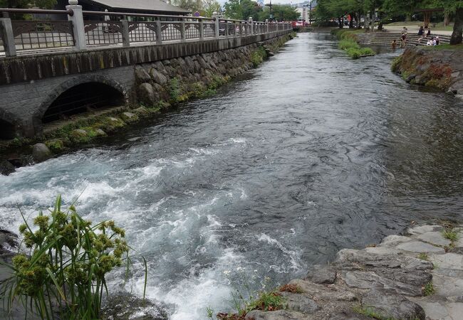 湧水の川。水量がすごい。水がきれい。