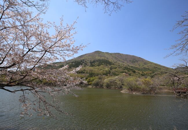 鎮海内水面環境生態公園