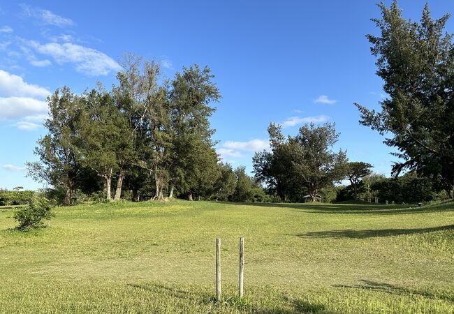 喜界島の中心街近くにある広大な公園