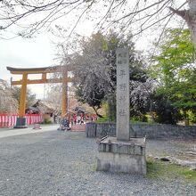 入口の鳥居は日焼けで黄色に変化