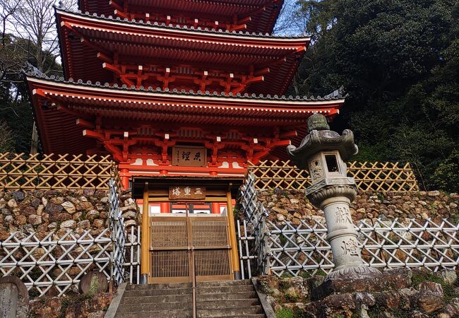 金華山の緑に 真っ赤な塔がよく映える