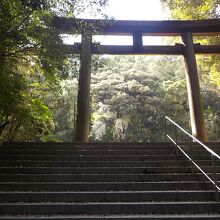 静粛な森の中にある鳥居と階段。ここから拝殿まで階段が続きます