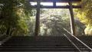 大津京遷都をした天智天皇をご祭神にする近江神宮は大津観光では外せないスポットです。