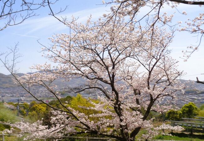 甘木山