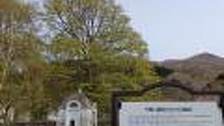 海に面しており景色も良いです。