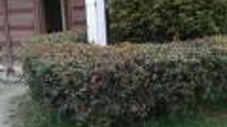 小さな公園です