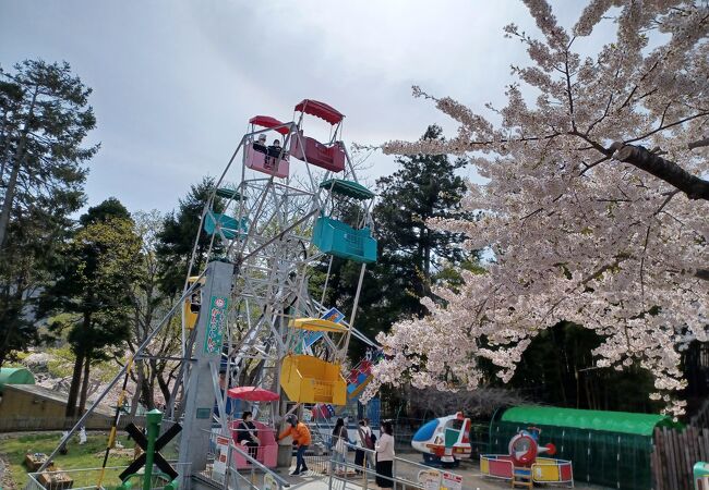 函館公園の中にあるレトロな遊園地