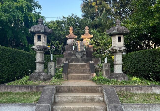 洗足池公園を臨む場所