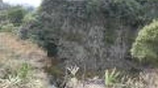 高さ70mの柱状節理の岩