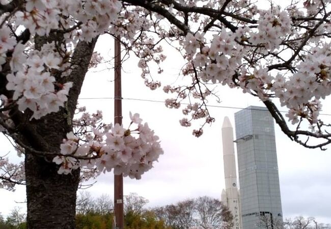 台山公園