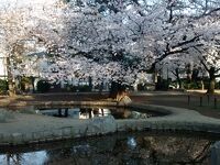 板橋区平和公園