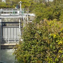 琵琶湖第1疎水の琵琶湖そばの水門