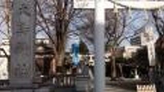 大きなケヤキの木々が素晴らし