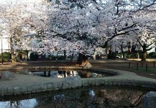 板橋区平和公園