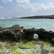 サンゴ礁生態系観察ポイント