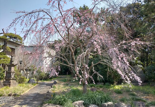 宝蔵院(式部薬師)