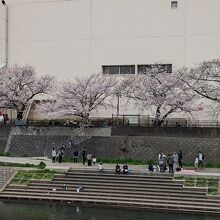 川沿いの桜は見事で、市内でも有数の桜の名所です。