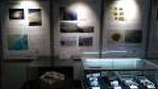 漂流軽石を見られる