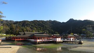 宮島で一番の観光名所