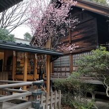 板橋天祖神社