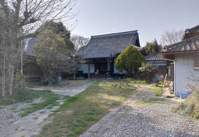 極楽寺(いぼとり地蔵)