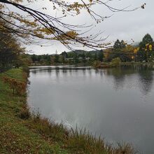 矢ヶ崎公園