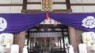 ウサギ尽くしの・・・