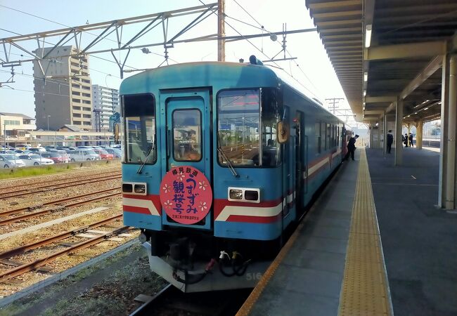 淡墨桜を見るために乗車。桜の時期は特別ダイヤで走ってます